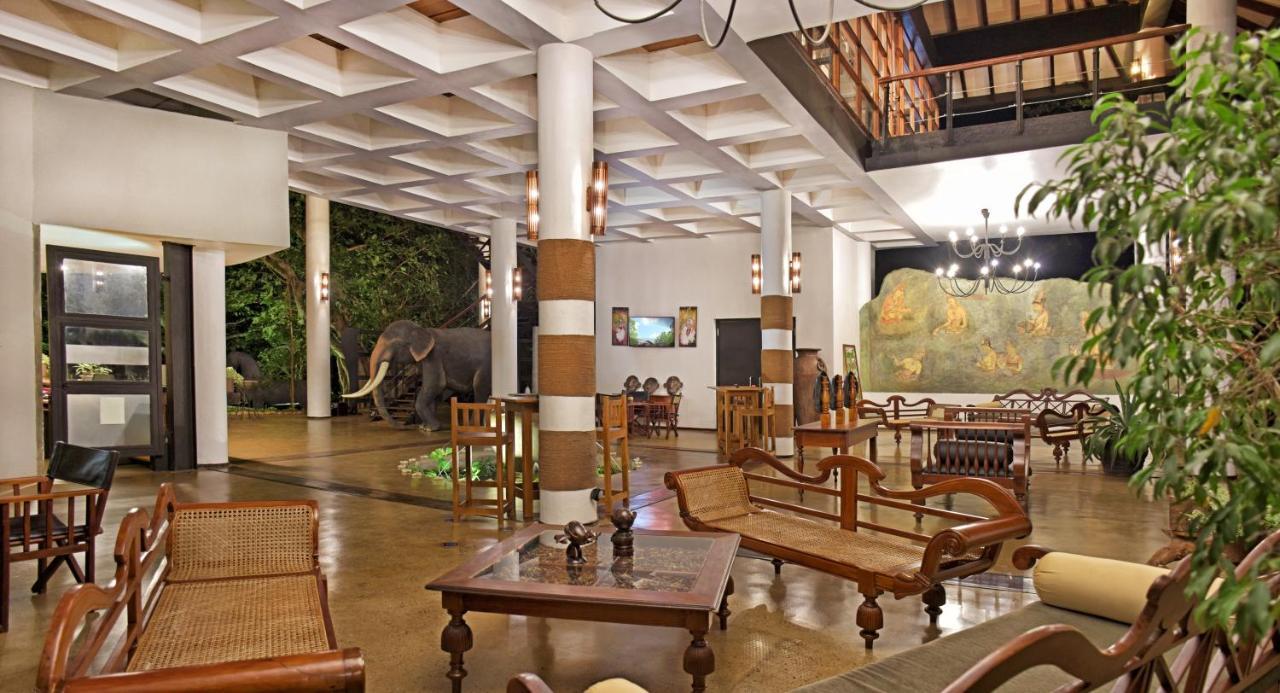 סיגירייה The Elephant Corridor Hotel מראה חיצוני תמונה